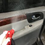 how to clean mold out of a car