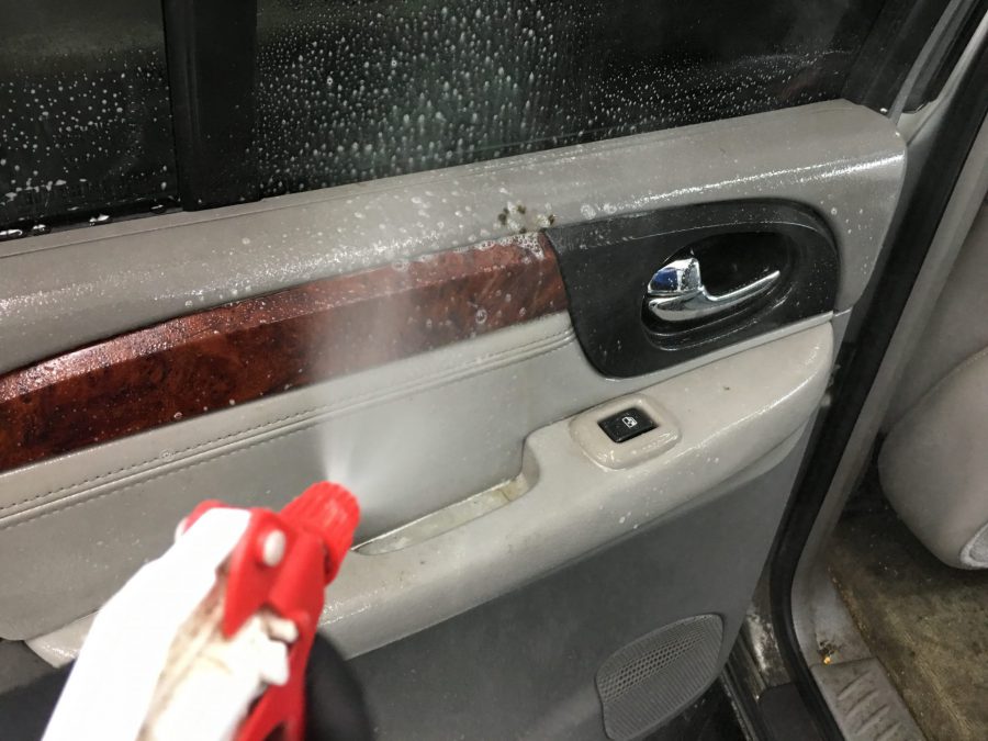 how to clean mold out of a car